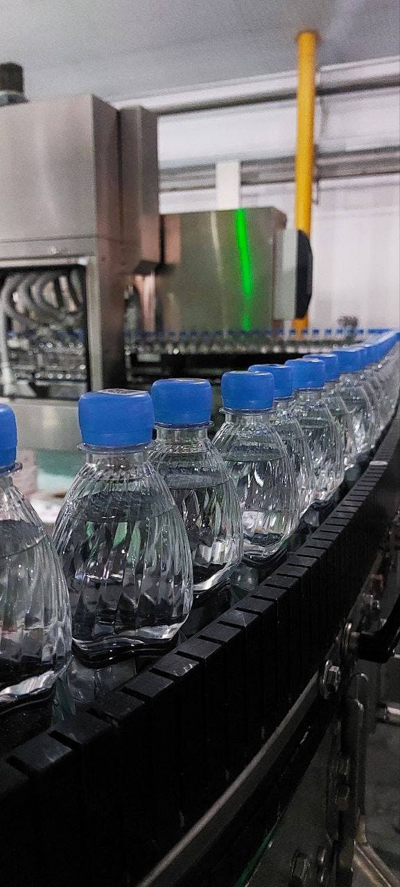 ЦОПП РИ организовал профориентационные пробы для учеников 8-11 классов. Фото 6